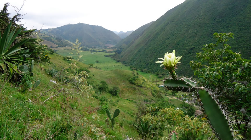 Conservación y Administración de Reservas Naturales