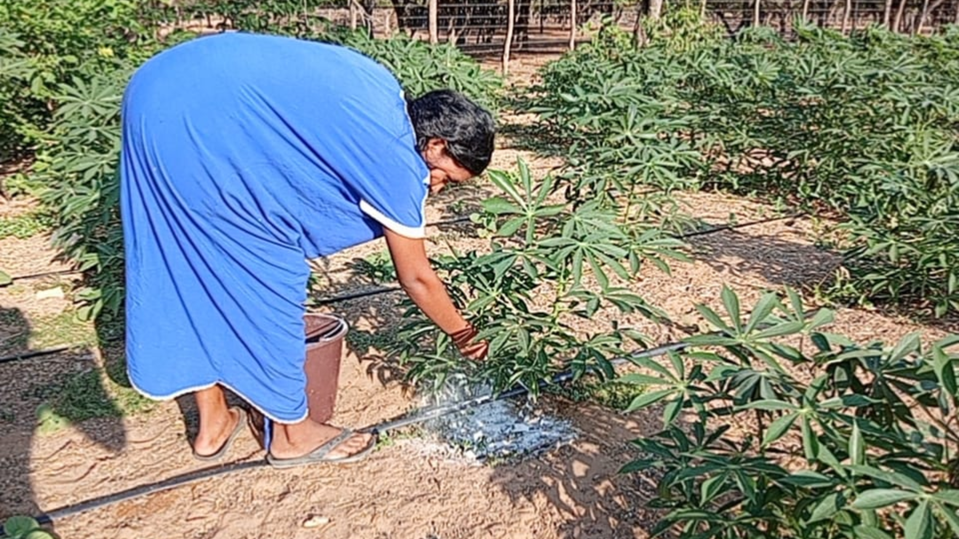 Madre Wayuu recibiendo ayuda